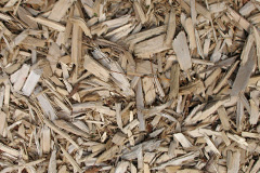 biomass boilers Torbush