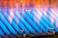 Torbush gas fired boilers